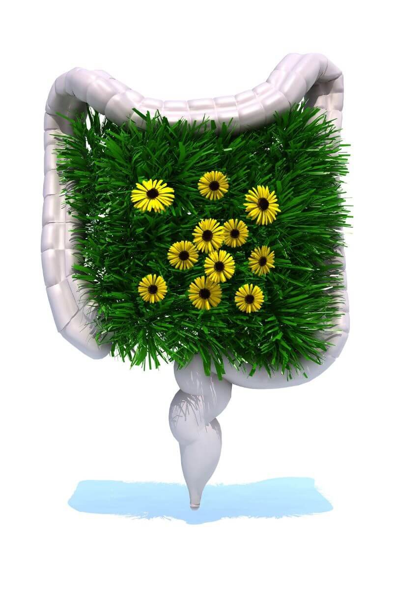 benefits of aloe vera