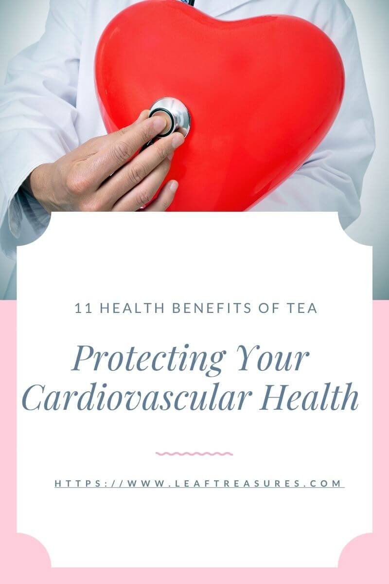 Protecting Your Cardiovascular Health