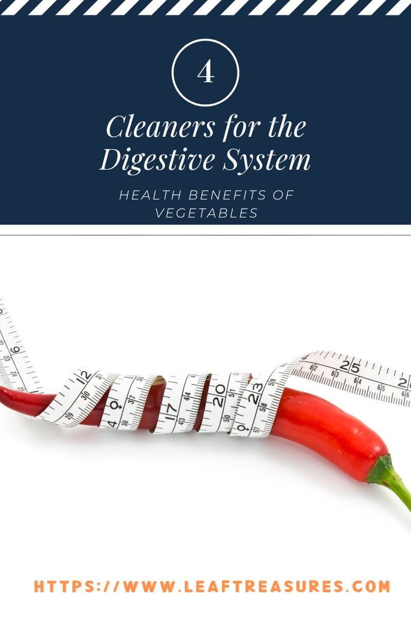 benefits of vegetables