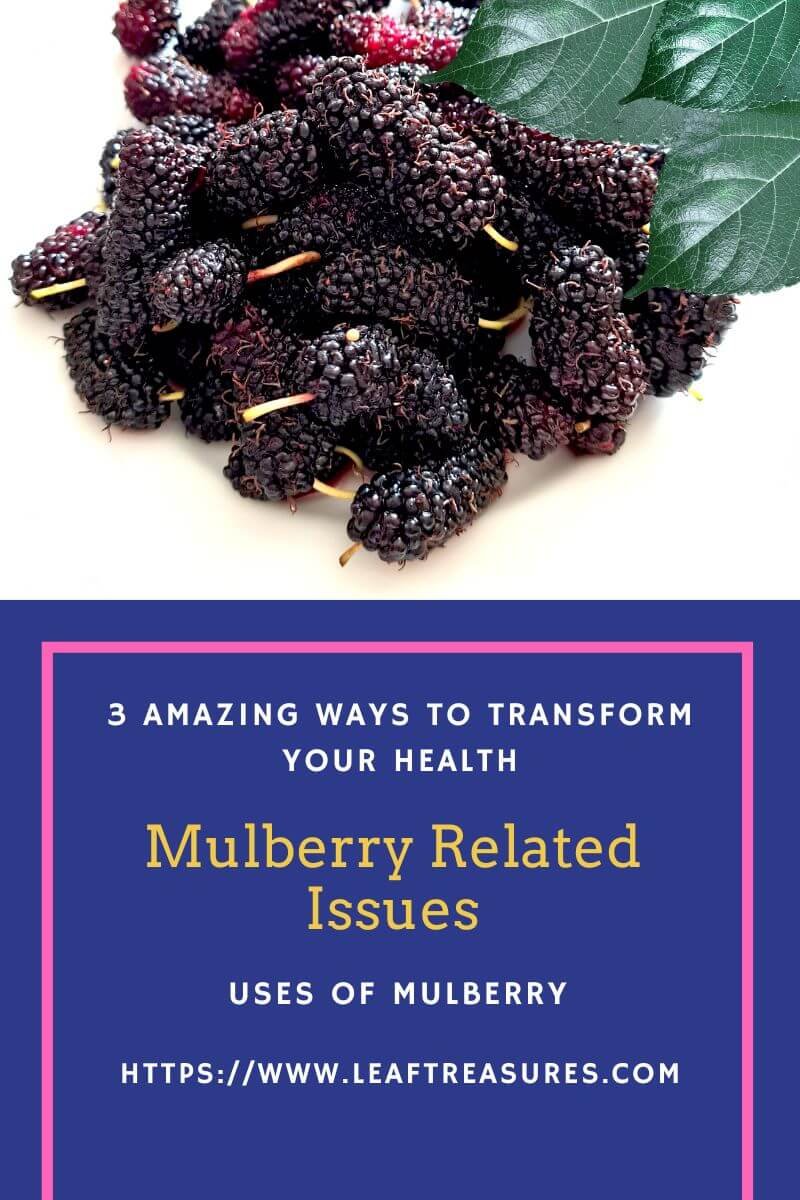benefits of mulberry