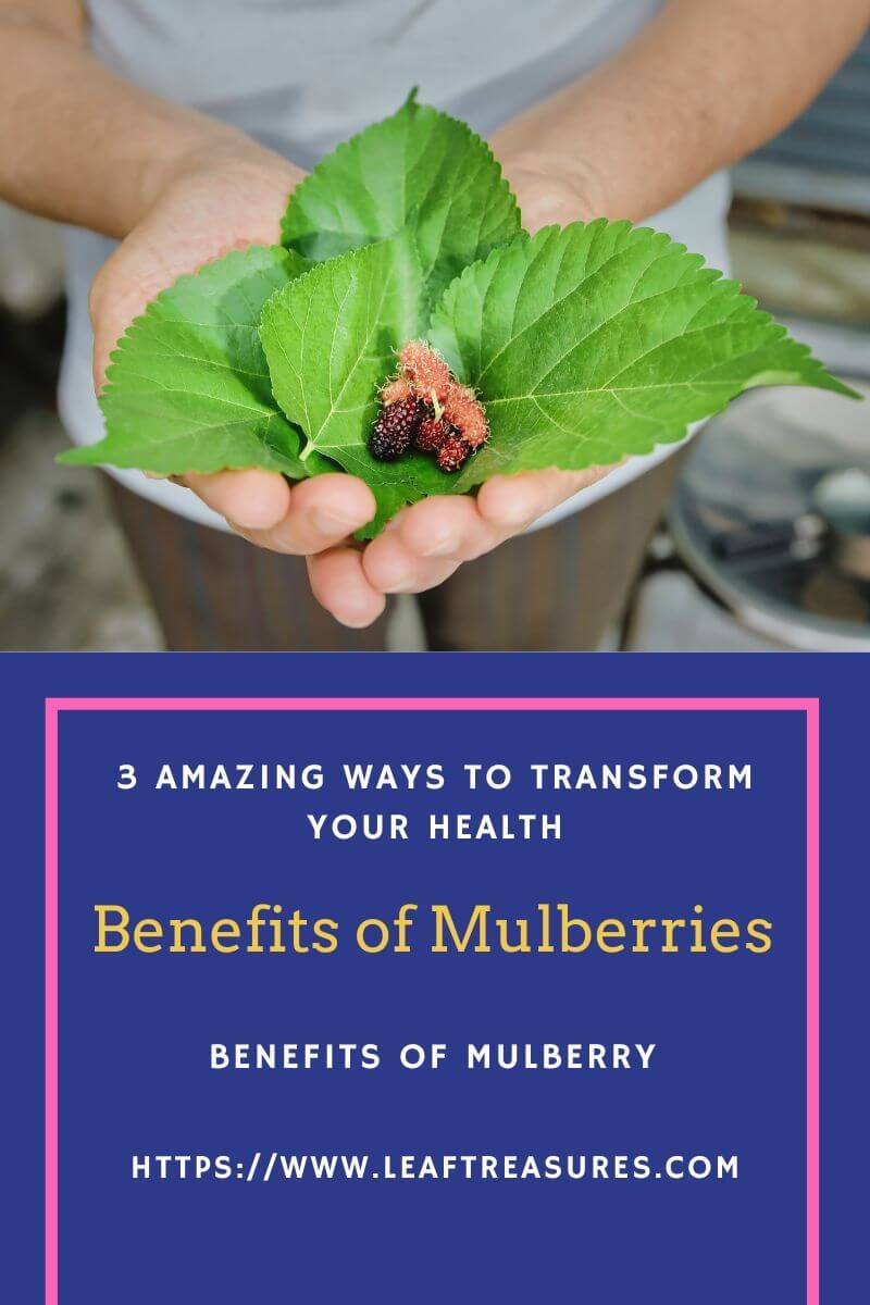 benefits of mulberry