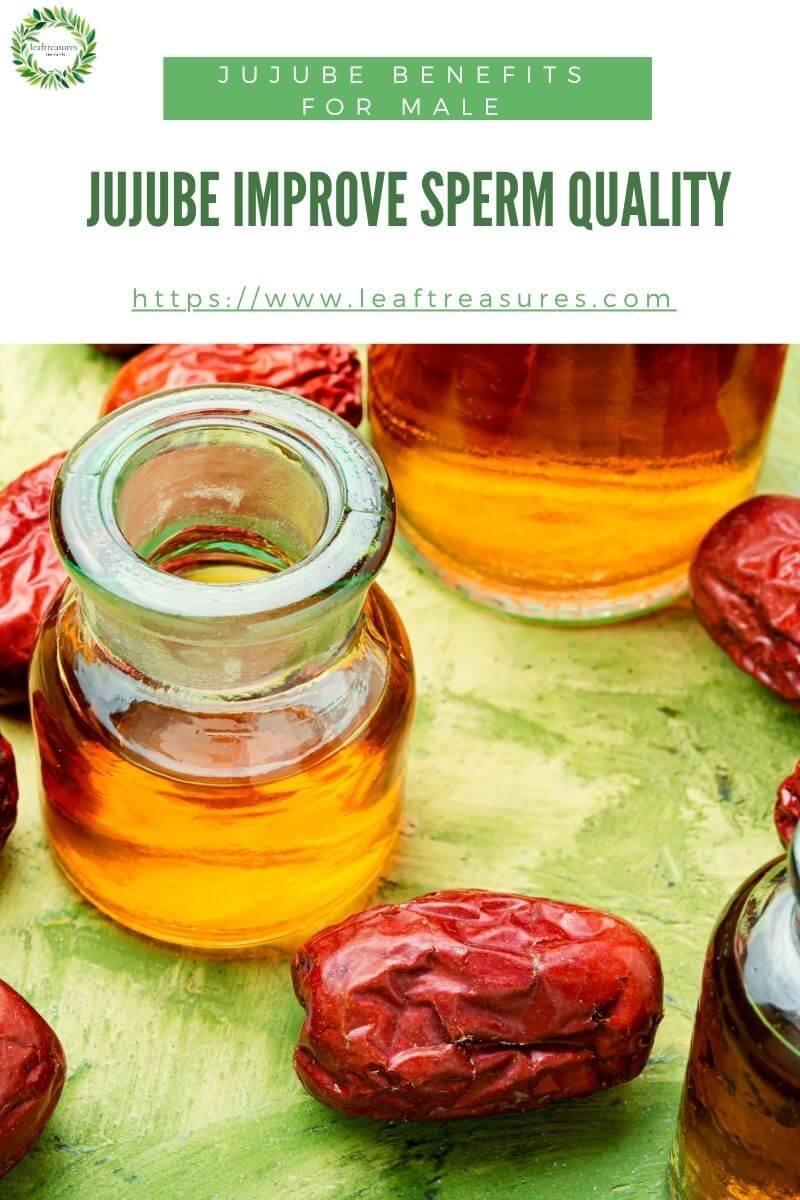 Jujube improve sperm quality