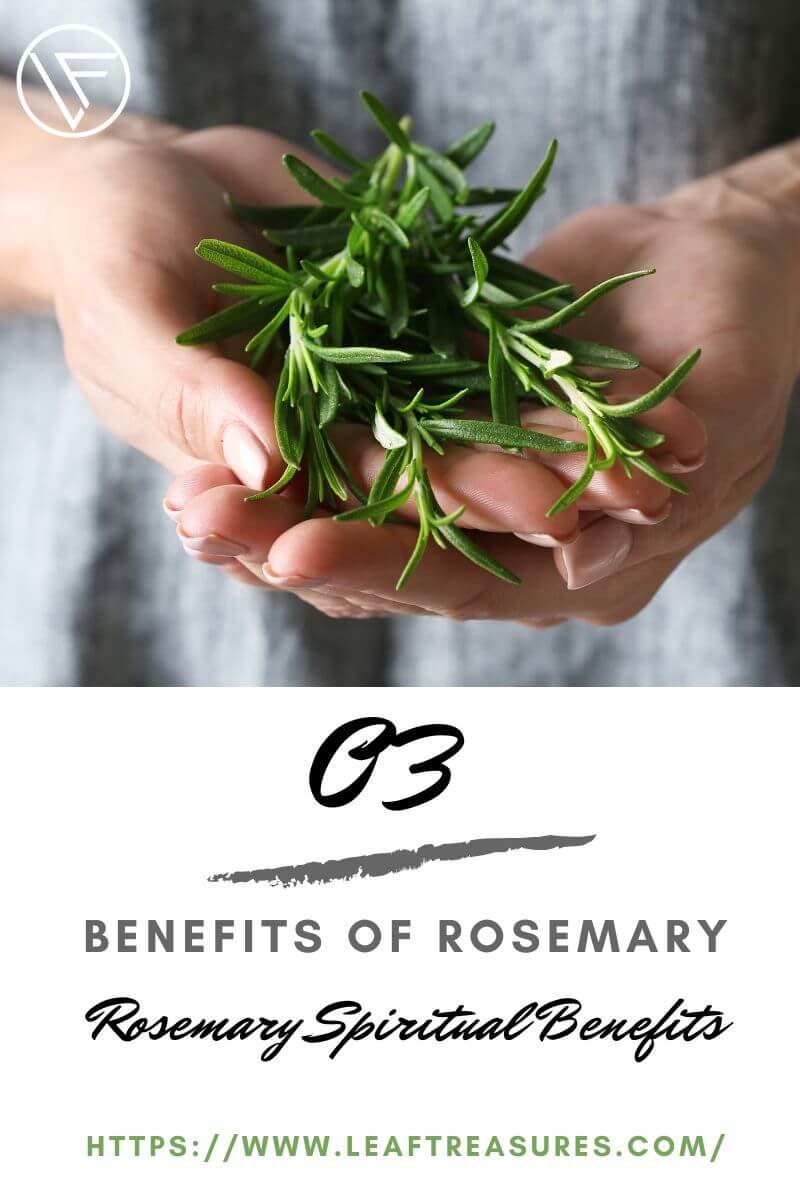rosemary spiritual benefits