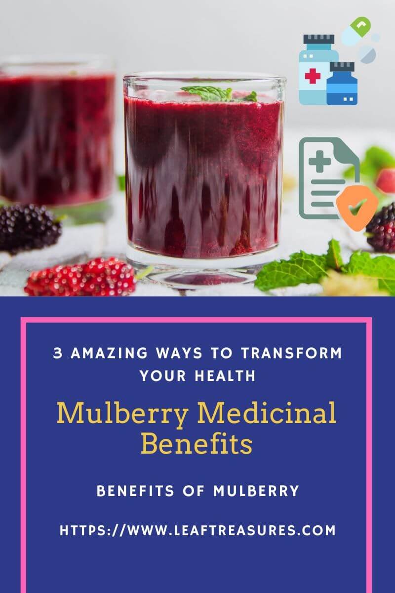 mulberry medicinal benefits