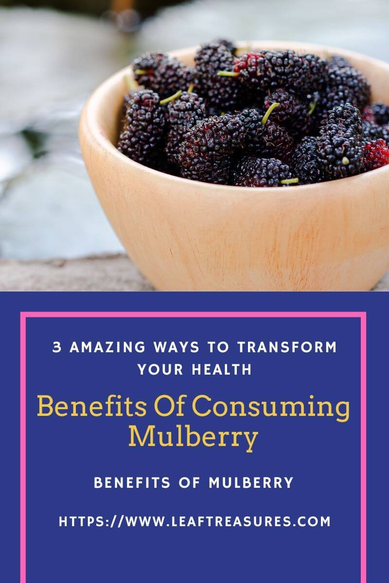 benefits of consuming mulberry