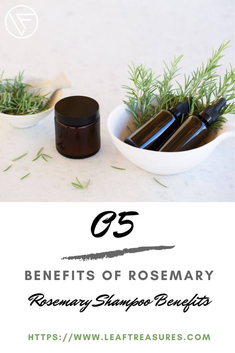 rosemary shampoo benefits