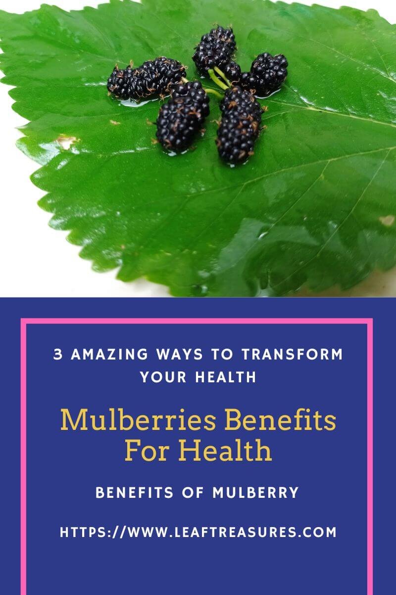 mulberry benefits for health