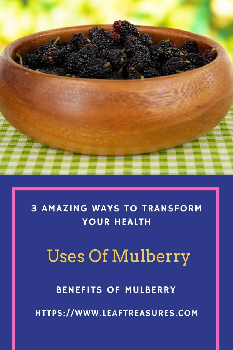 uses of mulberry