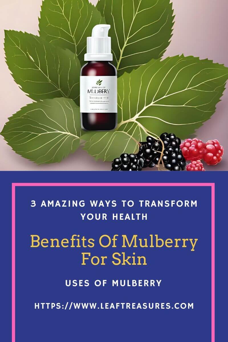 Benefits Of Mulberry For Skin
