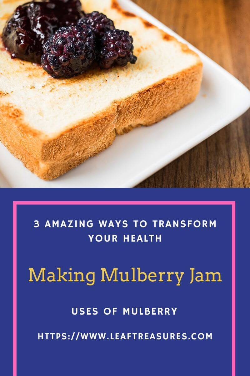 benefits of mulberry jam