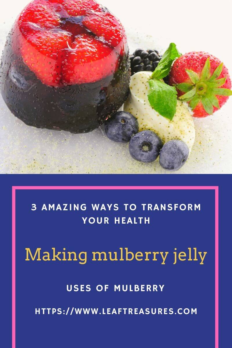 Uses Of Mulberry