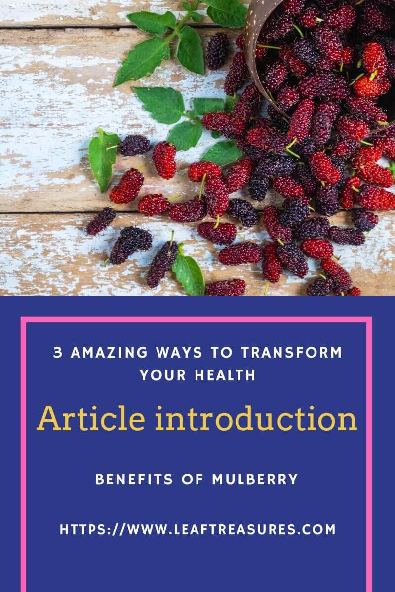 Benefits of Mulberry