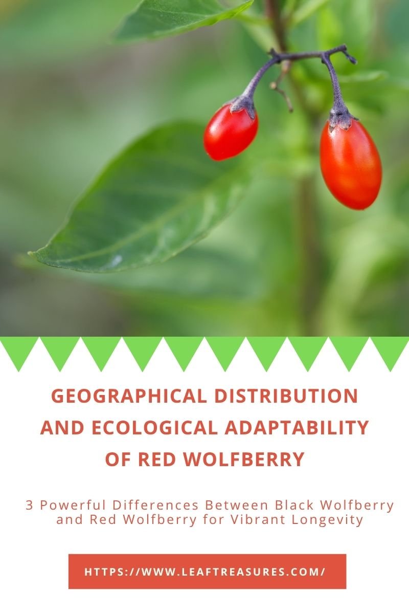 difference between black wolfberry and red wolfberry growing