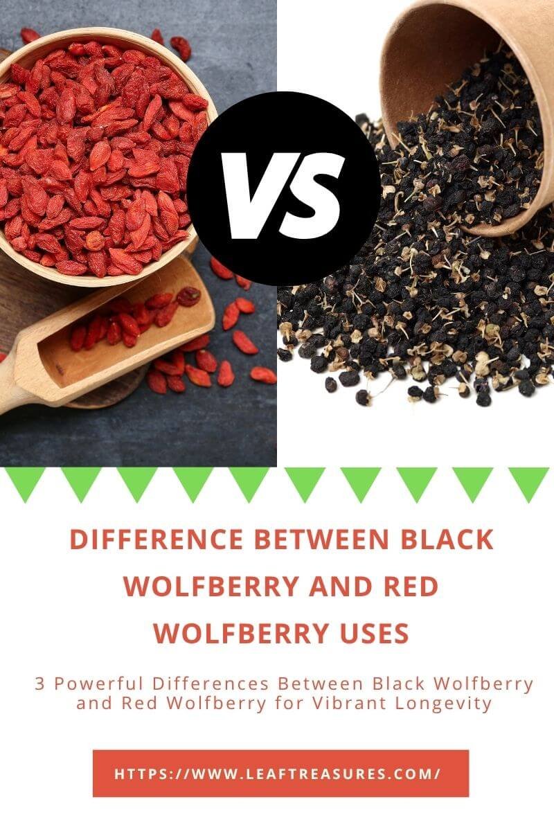 difference between black wolfberry and red wolfberry uses