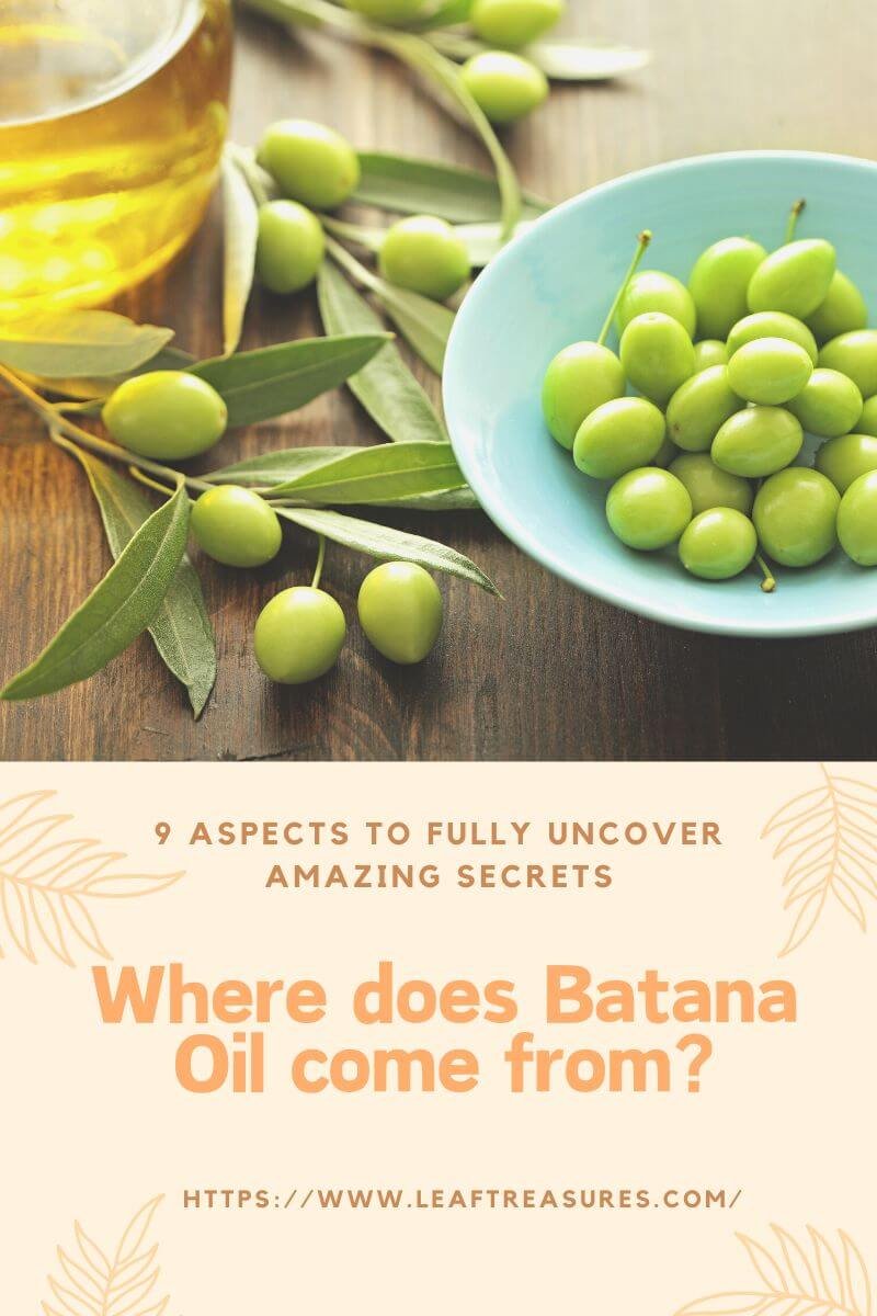 Where does Batana Oil come from